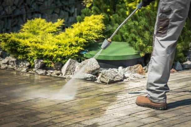 Best Driveway Pressure Washing  in Veneta, OR